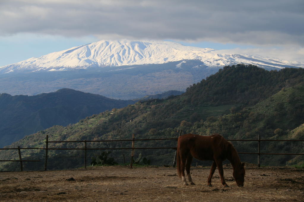 Agriturismo San Cataldo Motta Camastra Luaran gambar